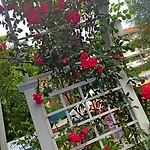Kalofer 3* Sunny Beach