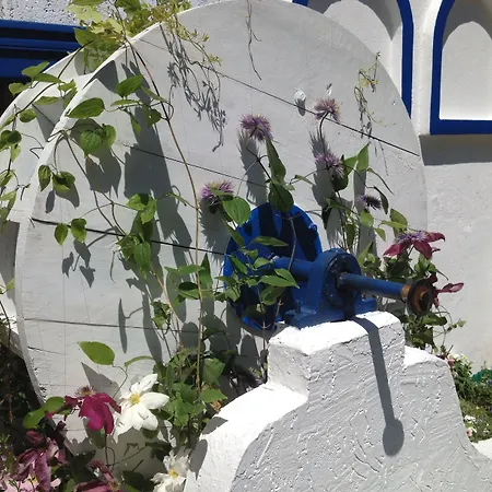 Отель Kalofer 3*