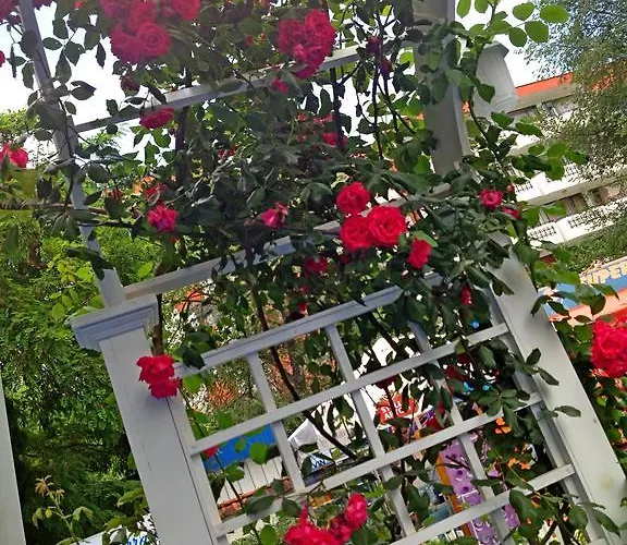 Kalofer 3* Солнечный берег